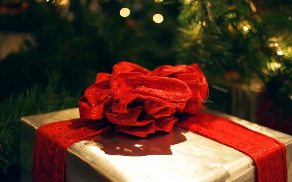 A gift wrapped with a big red bow under a Christmas tree