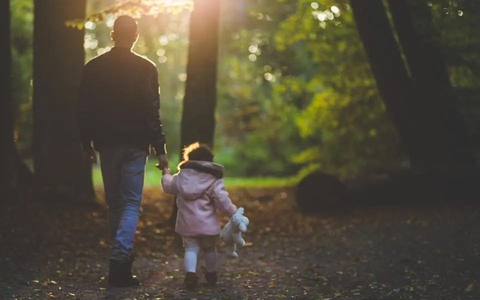 A father and his small daughter holding hands as they walk along a sunlit forest path in autumn
